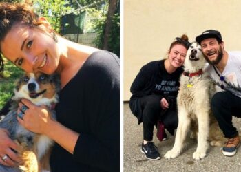 17 kutyus, akiket örökbe fogadtak a menhelyről és nem bírták leplezni az örömüket