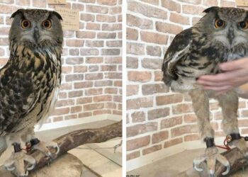 21 kép, amely segít megmutatni, hogyan is működik a világunk