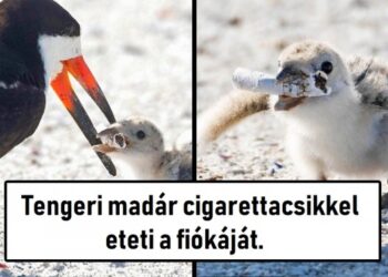 18 fotó, mely kijózanítóbb, mint egy hideg zuhany