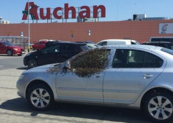 21 személy, akit a legváratlanabb helyről ért a meglepetés