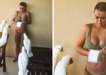 8 lány, akinek sikerült saját magát sarokba szorítania