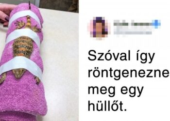 24 fénykép, amellyel néhány perc alatt tágíthatod a világgal kapcsolatos ismereteidet