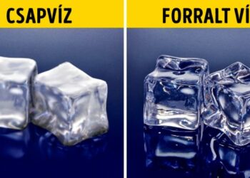 24 meglepő tény, amelytől még a legokosabb embereknek is könnyedén leesik az álluk