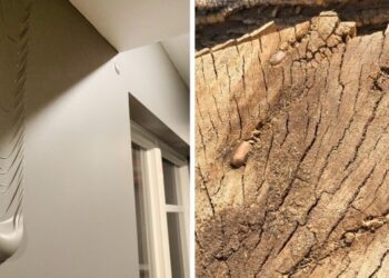 20 alkalom, mikor az emberek valami totálisan kivételes dologra lettek figyelmesek