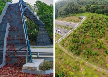 20 fantasztikus tervező, aki megmutatta, hogyan tiszteljük a természetet