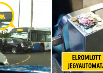 30 szórakoztató fénykép, mely remekül összefoglalja Kanada lényegét