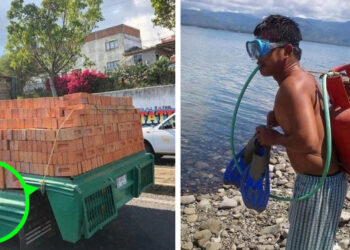 21 fénykép, mely igazolja, hogy ha a hülyeséget megadóztatnák, nem lenne több gazdasági probléma