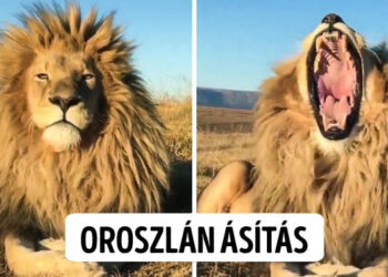 21 felvétel a világ minden tájáról, amely sokunknak meglepetést okoz majd