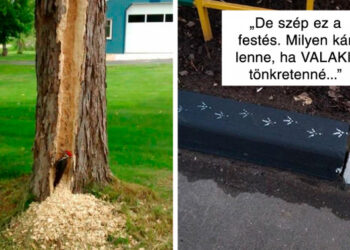 20 alkalom, mikor a bunkó madarak bolondot csináltak az emberekből