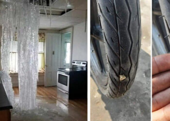 21 szerencsétlen vesztes, akiken nem illene nevetni, csakhogy ezt nem olyan könnyű megállni