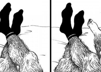 16 vidám rajz a 21 századi nők életét behálózó problémákról