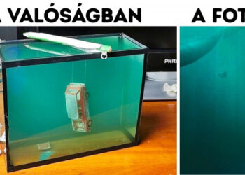 20 személy, akik csak egy új fotót akartak az Instagramra, de műalkotást hoztak létre helyette