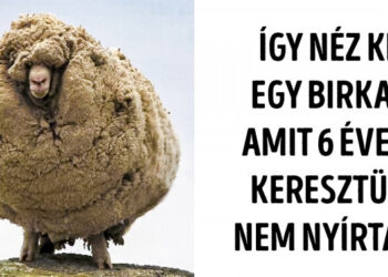 21 ritka fénykép, amelyet legalább egyszer az életben neked is látnod kell