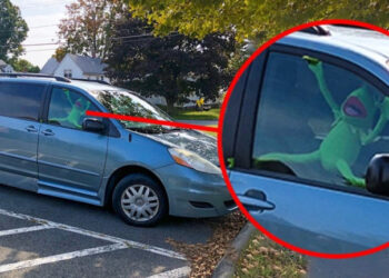 20 Reddit felhasználó megosztotta fényképeit néhány furcsa dologról, amelyet láttak