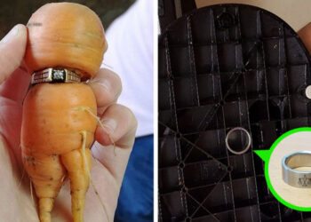 20 alkalom, mikor a régóta elveszettnek hitt dolgok csodával határos módon kerültek elő