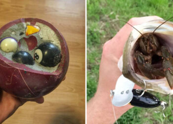 20 személy, aki meglepő dolgokat talált a különféle hétköznapi tárgyak belsejében