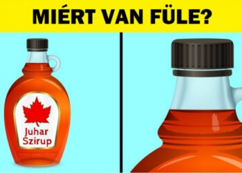 16 érdekes dolog, amelyre valószínűleg soha nem volt időd, hogy “ráguglizz”