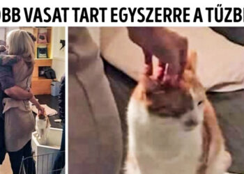 17 alak, aki még a legromantikusabb pillanatokat is képes tönkre vágni