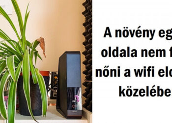 20+ lenyűgöző látványosság, mellyel lehet, hogy csak egyszer az életben találkozol