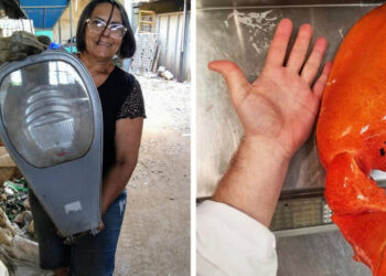 21 összehasonlító kép, mely jobban elmagyarázza a körülöttünk lévő világot, mint az iskolai tankönyvek