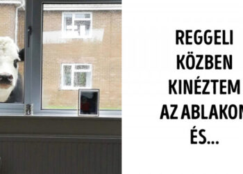 20 fénykép és a hozzá kapcsolódó sztori, amelyet ha nem látnánk a saját szemünkkel, valószínűleg el sem akarnánk hinni