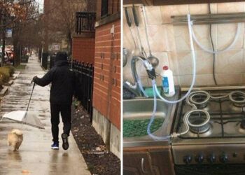 21 agyafúrt zseni, aki díjat érdemelne a találékonysága miatt