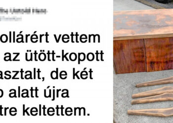 20 személy, aki fogott egy halom szemetet és műalkotássá varázsolta