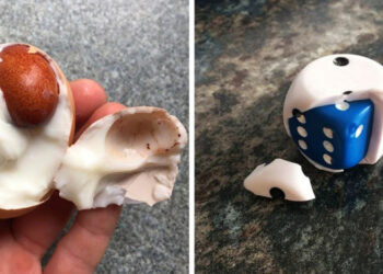 18 alkalom, mikor a szokásos dolgok belsejében találtak valamit, amelynek nem kellett volna ott lennie