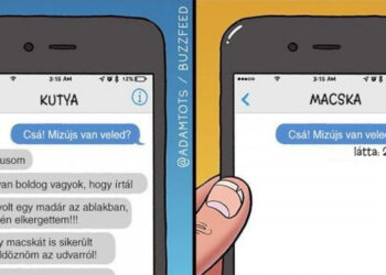 14 illusztráció, amely remekül szemlélteti a kutyák és macskák közti látványos különbségeket