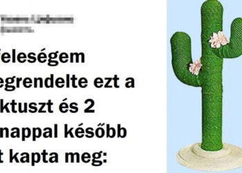 20+ alkalom, mikor a elvárások még egy kicsit sem találkoztak a valósággal