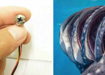 21 különös dolog, amiről már mindannyian hallottunk, de csak kevesen láthattuk a saját szemünkkel