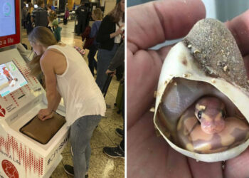 20+ személy, aki olyan dologra bukkant, amelyet csak millióból egy embernek van szerencséje személyesen látni