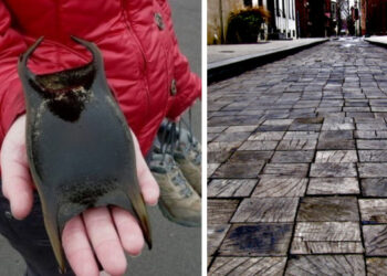 20 ritka jelenség, amelyet csak minden milliomodik személy láthat személyesen