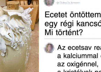 21 felvétel, amely bármelyik tudományos tankönyvben megállná a helyét