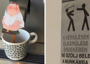 20+ felvétel, mely bebizonyítja, hogy minden munkahelynek megvannak a maga bohócai