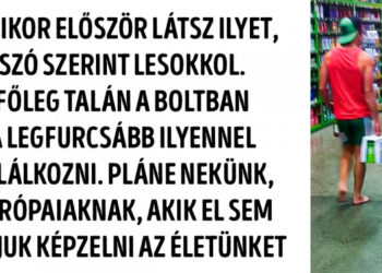 20 tény Új-Zélandról, mely előbb összezavar, majd ámulattal tölt el