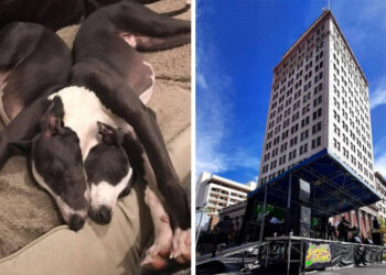 20 felvétel, amelytől kétségbe vonod a saját szemed