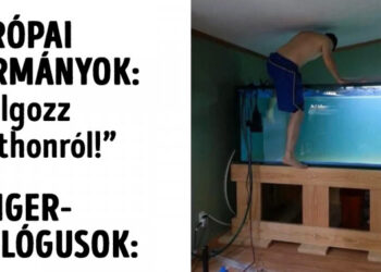 21+ “home office” mém, amelyet az otthonról nem elvégezhető munkát végző emberek készítettek