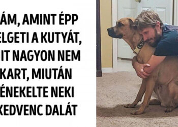 16 személy, aki ma már a csillagokat is lehozná a háziállatért, akit kezdetben nem akart