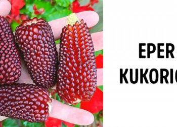 16 fénykép, amelynek a segítségével néhány másodperc alatt bővítheted a világgal kapcsolatos ismereteidet