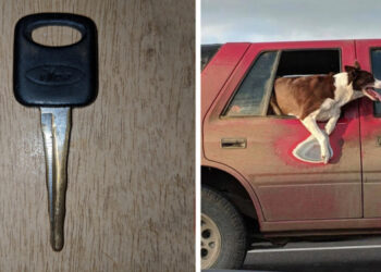 19 kép, amely tökéletesen mutatja, hogy mennyire észrevehetetlenül múlik az idő