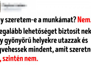 14 munkával kapcsolatos mém, amelyet mindenki érteni fog, aki valaha is dolgozott már életében