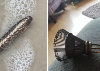 18 titokzatos lelet és felfedezés, amely ugyanazt a kérdést veti fel: “ez meg mi a franc?!”