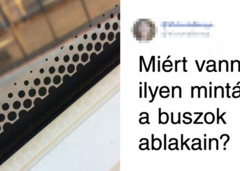 19 alkalom, mikor az emberek nem tudták, hogy mire bukkantak, de az internet segített