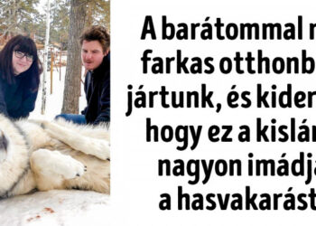 17 alkalom, mikor a vadállatok megmutatták, hogy ők is lehetnek olyanok, mint a ma született bárányok