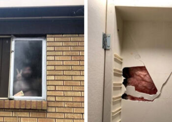 17 felvétel, mely bebizonyítja, hogy jó szomszédot kifogni legalább annyira nehéz, mint lottót nyerni