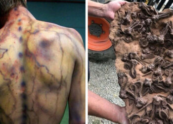 17 meglepő tény és kép, amely monitoron keresztül mutatja be nekünk a világ sokszínűségét