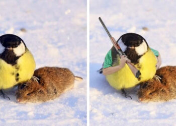 20 alak, akit sosem lett volna szabad Photoshop közelébe engedni