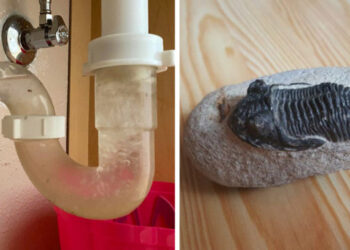 20 személy, aki olyan meglepetésre bukkant, amelyre egyáltalán nem volt felkészülve