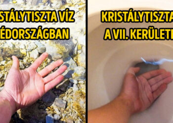 21 személy, aki a humorérzékének köszönhetően minden élethelyzetet sikerként él meg